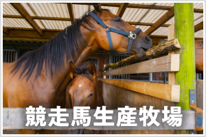 競走馬生産牧場