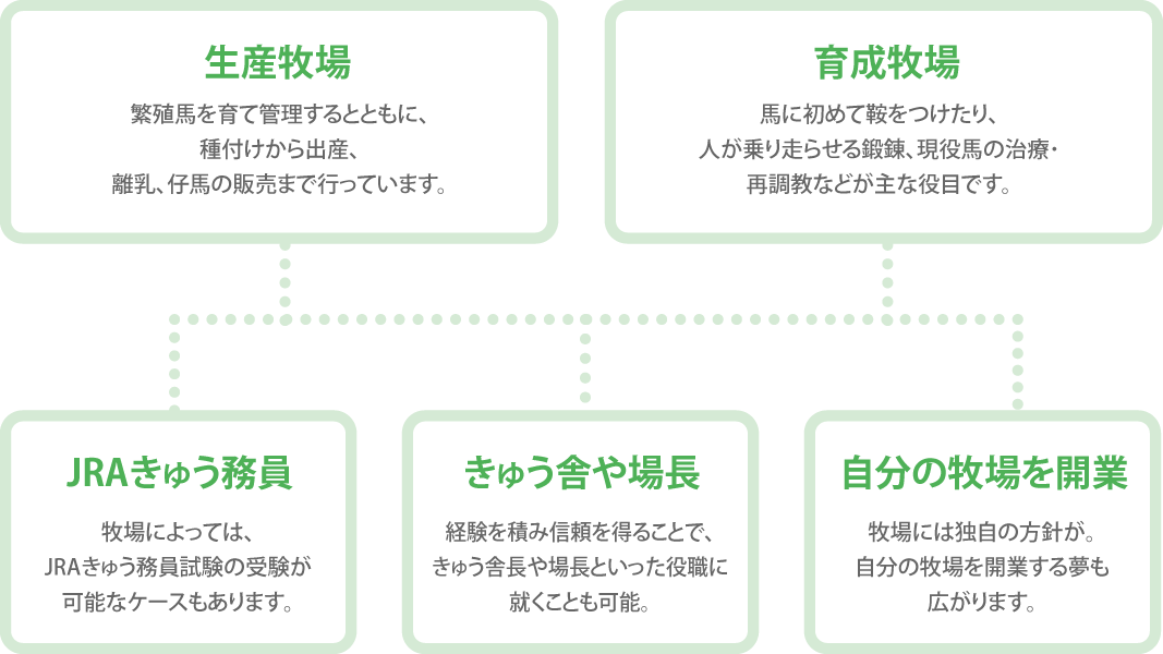 50 グレア 科警研 に なるには 画像ブログ